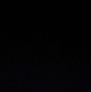 Meet your Posher, Donald